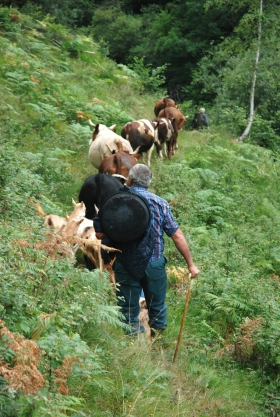 SABATO 9 MAGGIO 2015 - oltrebosco