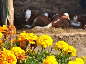 domenica 12 settembre - mattina - oltrebosco