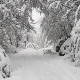 6 gennaio - oltrebosco