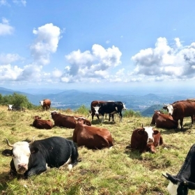 25 agosto - oltrebosco