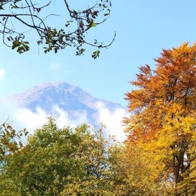 26 ottobre - oltrebosco