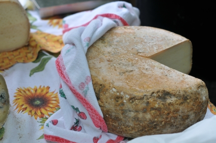 degustazione dei formaggi della valle elvo - oltrebosco