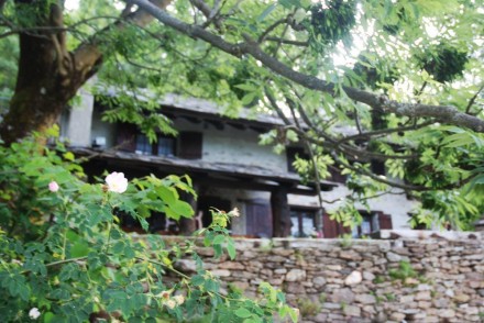 AGOSTO A OLTREBOSCO - oltrebosco