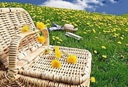 Ecopicnic - ogni week end e ad agosto tutti i giorni - oltrebosco
