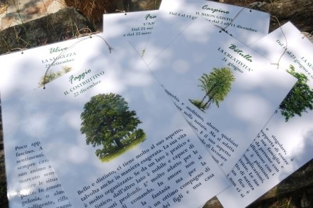 Domenica 21 giugno 2015 - oltrebosco