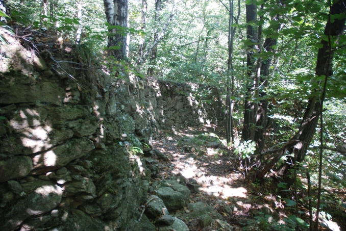 escursione con guida naturalistica - oltrebosco