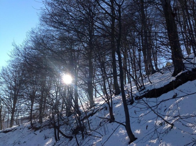  - oltrebosco
